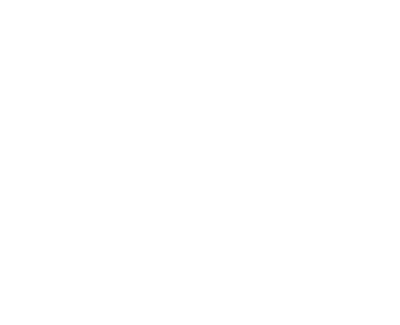 Al-Noor Cruise